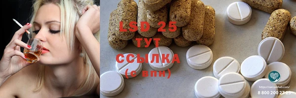 спайс Беломорск