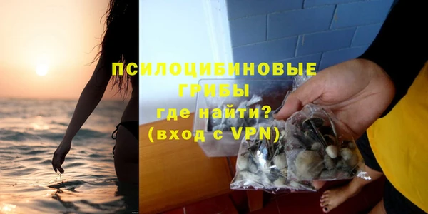 Альфа ПВП Волоколамск