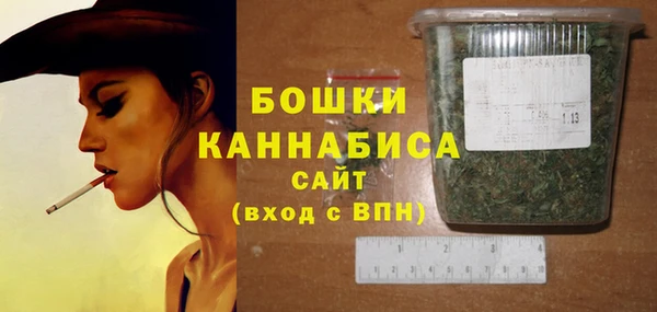 молекула духа Слюдянка