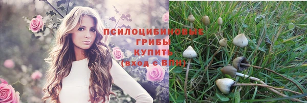 эйфоретик Белокуриха