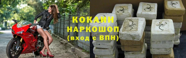 мяу мяу мука Бородино