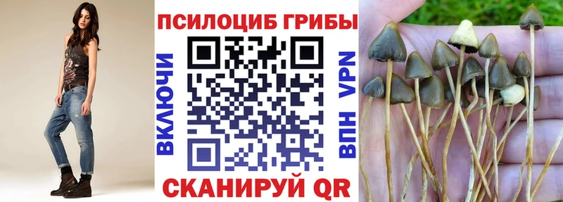 Псилоцибиновые грибы ЛСД  как найти наркотики  Зубцов 
